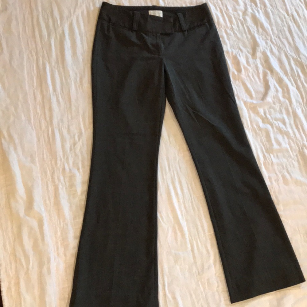 The Limited pants